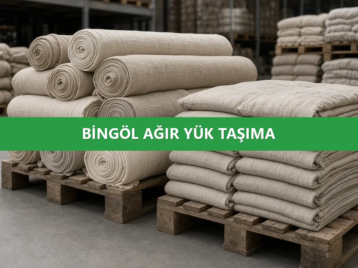 Bingöl Komple Yük Taşıma Planlama