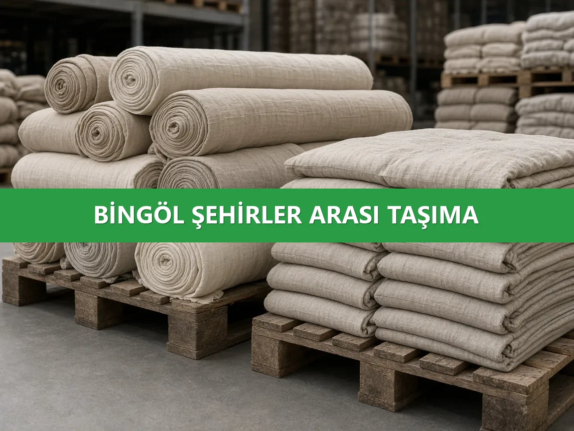 Şehirler Arası Taşıma